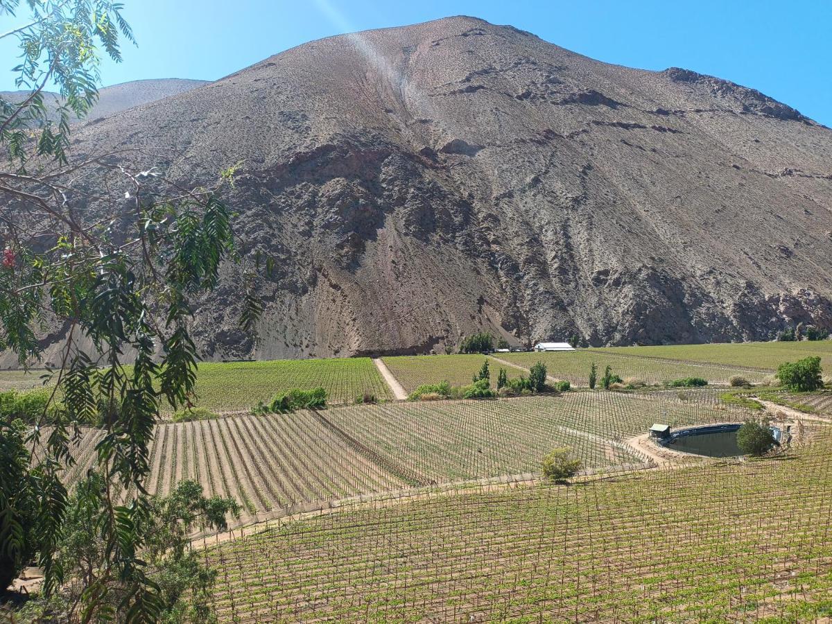 Ladera Loft Pisco Elqui Villa Bagian luar foto